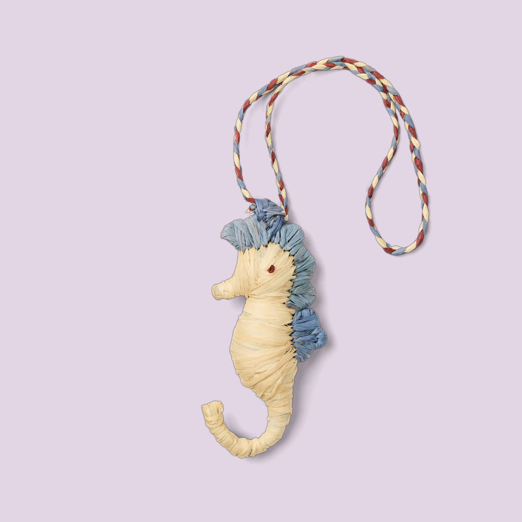 Bogg'd & Charmed Raffia Seahorse Travel Friendly Beach Organizer Waterproof Easy Clean with Cosmetic Organizer for Beach Vacation Travel Organizer Vacation Essentials for Women